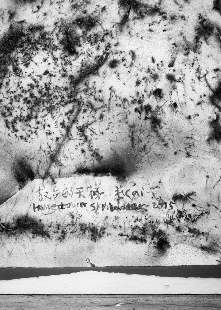 /images/projectimages/Cai_Guo_Qiang/images/201610_Artsy_CaiGuoQiang_0017.jpeg