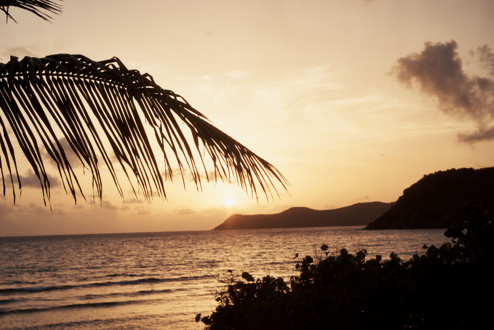 /images/projectimages/Dujour_Guana/images/201507_DuJour_Guana_Shot_03_0002.jpeg