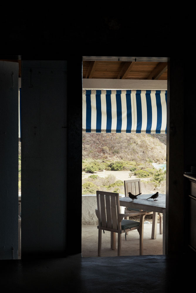 /images/projectimages/Dujour_Guana/images/201507_DuJour_Guana_Shot_09_0187.jpeg