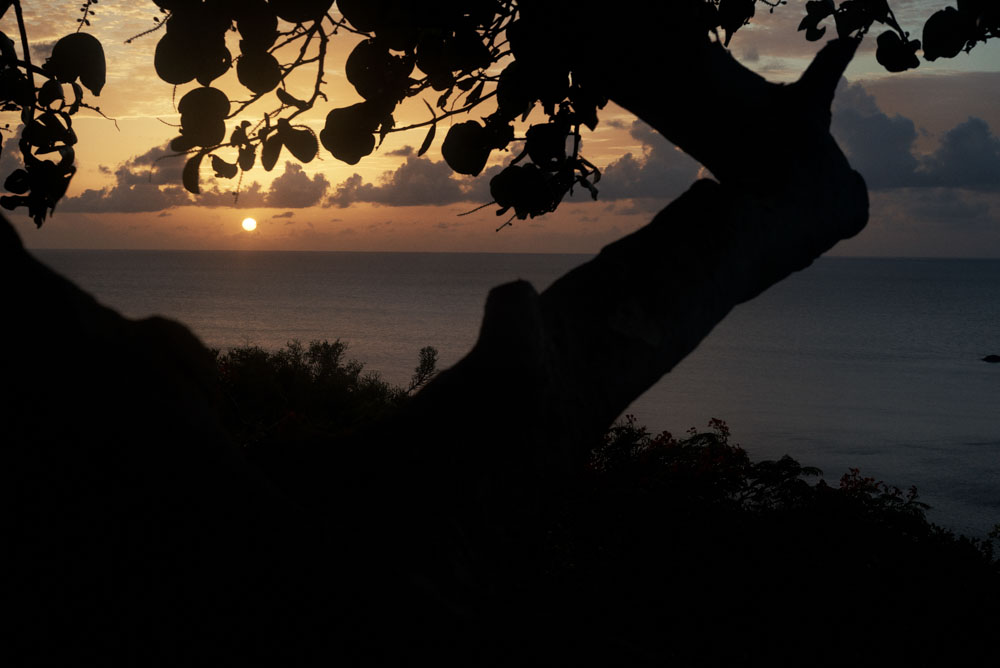 /images/projectimages/Dujour_Guana/images/201507_DuJour_Guana_Shot_14_0004.jpeg