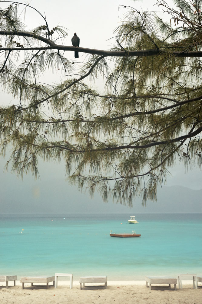 /images/projectimages/Dujour_Guana/images/201507_DuJour_Guana_Shot_14_0022.jpeg