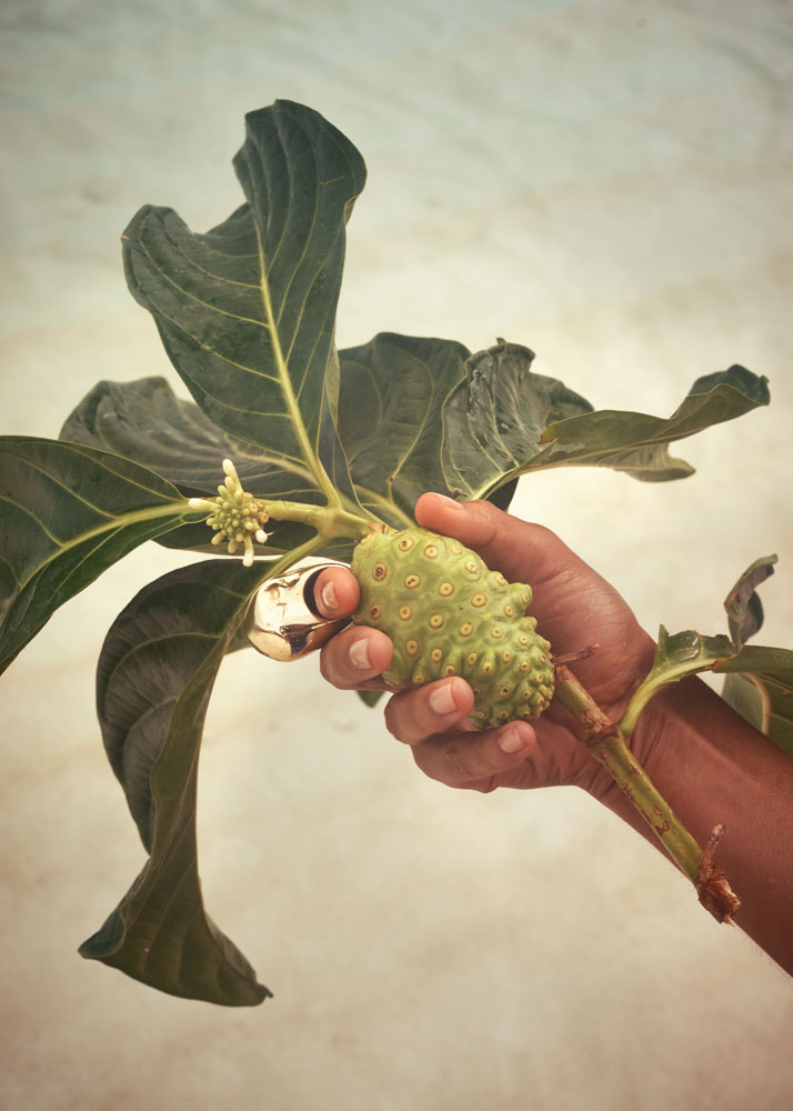 /images/projectimages/Dujour_Guana/images/201507_DuJour_Guana_Shot_14_0115.jpeg