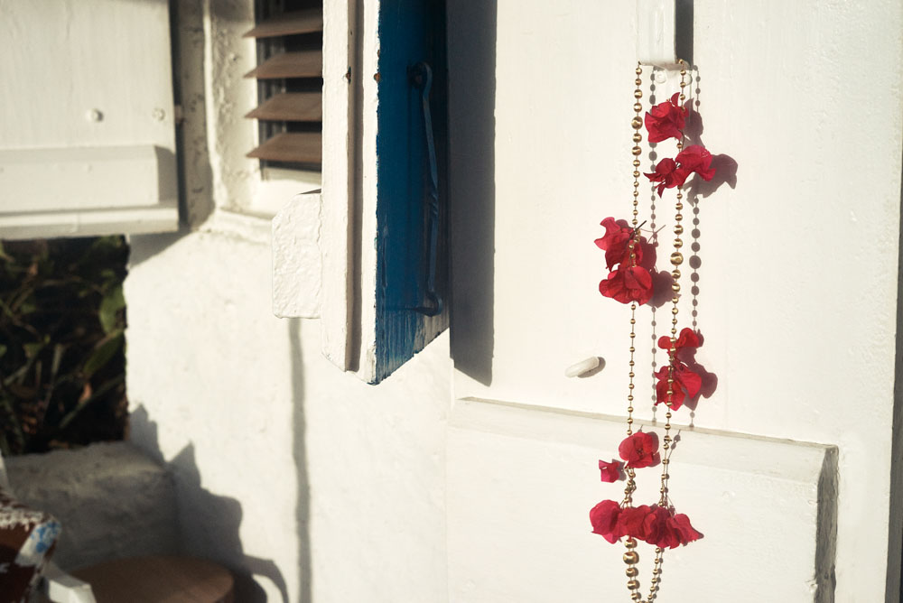 /images/projectimages/Dujour_Guana/images/201507_DuJour_Guana_Shot_25_0004.jpeg