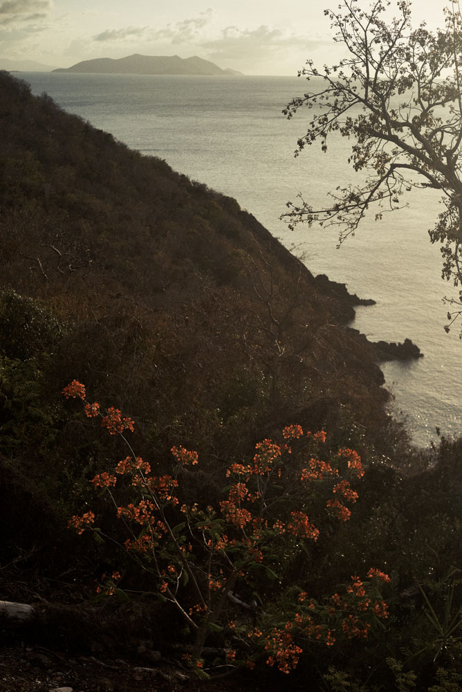 /images/projectimages/Dujour_Guana/images/201507_DuJour_Guana_Shot_26_0003.jpeg